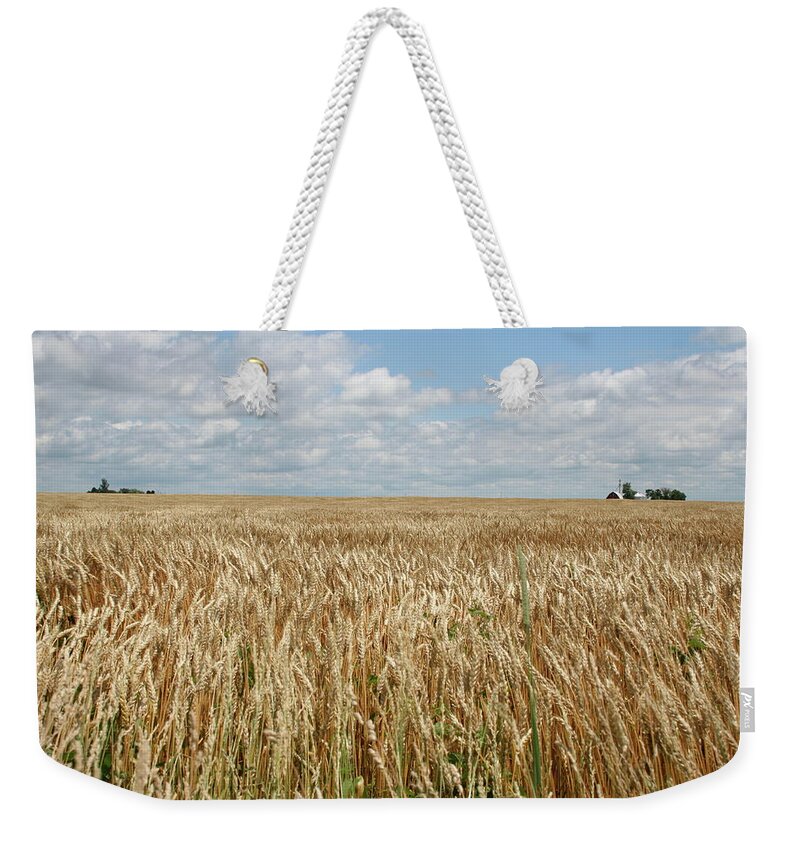 Wheat Farms Weekender Tote Bag featuring the photograph Wheat Farms by Dylan Punke