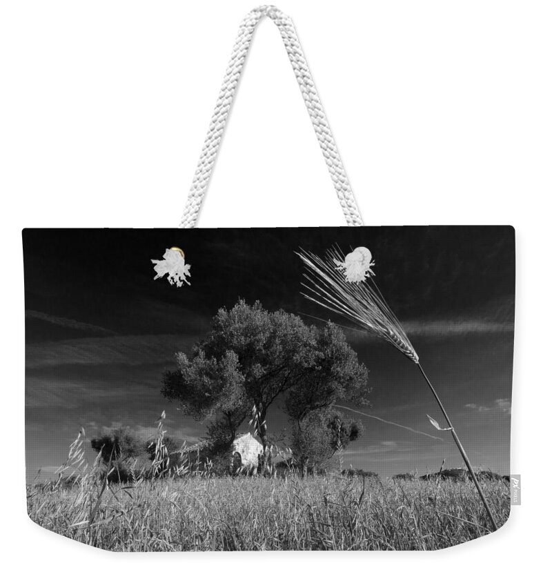 Black Weekender Tote Bag featuring the photograph Wheat Land Black And White by Pedro Cardona Llambias