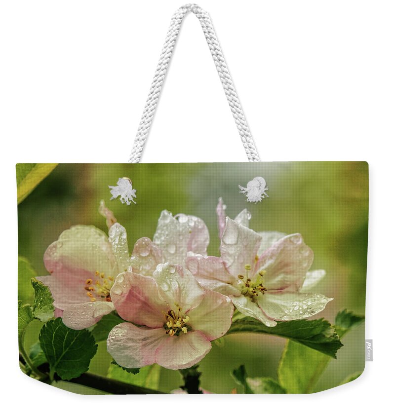 Appleblossoms Weekender Tote Bag featuring the photograph When The Light Breaks Through by Sue Capuano