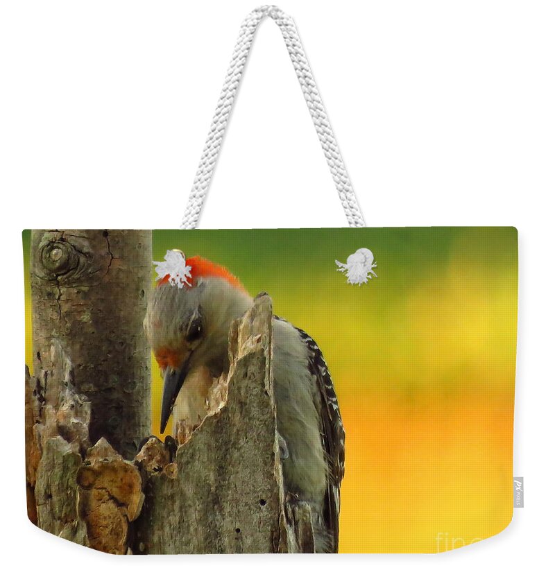 Woods Weekender Tote Bag featuring the photograph Where Did It Go by Mike Flake
