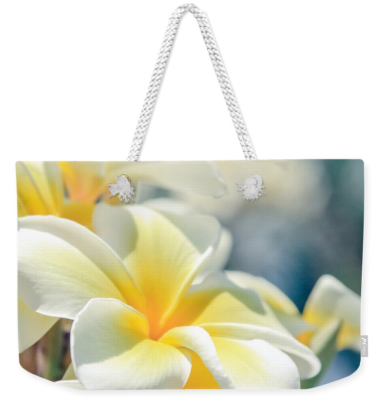 Where Happy Spirits Dwell Weekender Tote Bag featuring the photograph Where Happy Spirits Dwell - Cearnach by Sharon Mau
