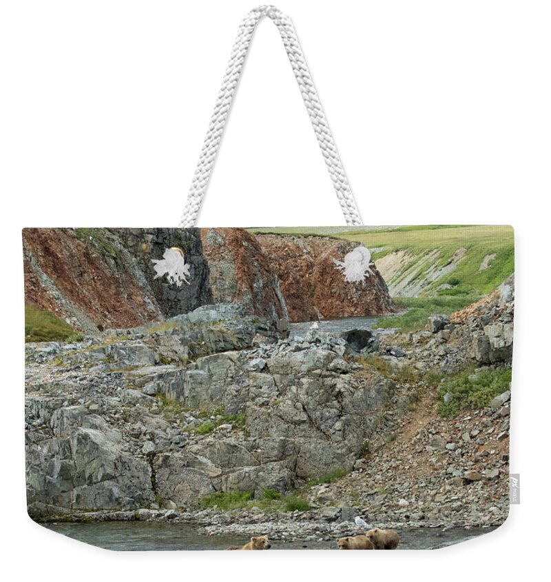 Alaska Weekender Tote Bag featuring the photograph Where the Bears Are by Cheryl Strahl