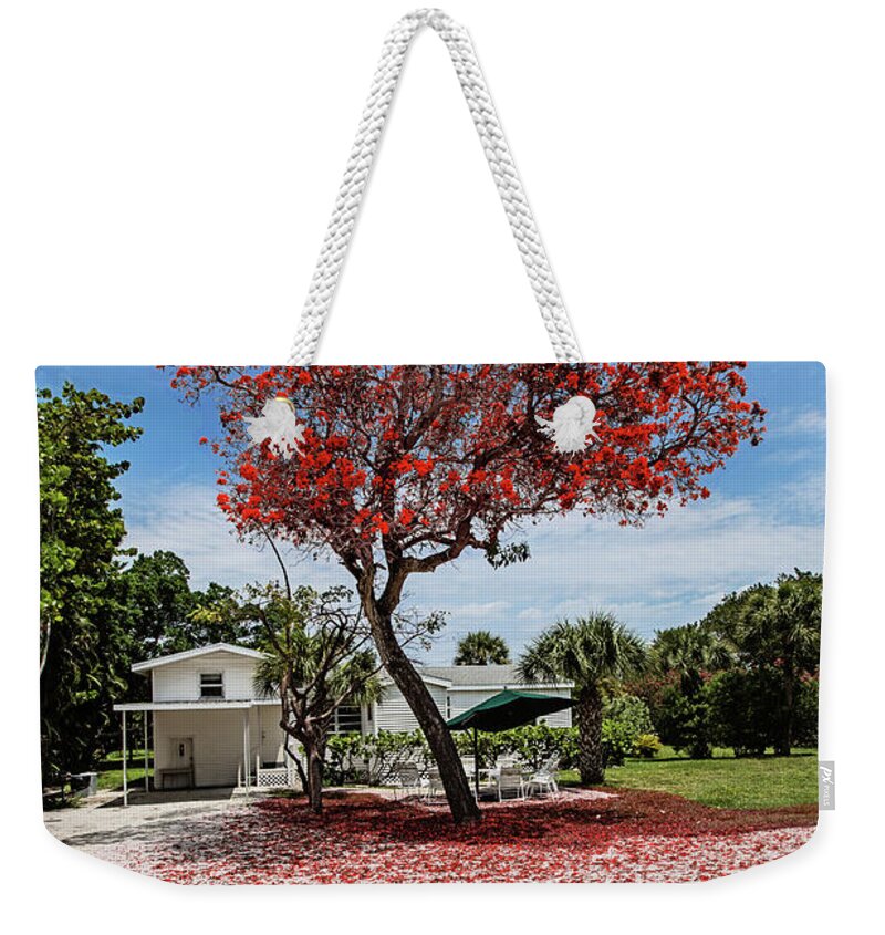 Red Tree Weekender Tote Bag featuring the photograph Where the Red Tree Grows by Scott Pellegrin