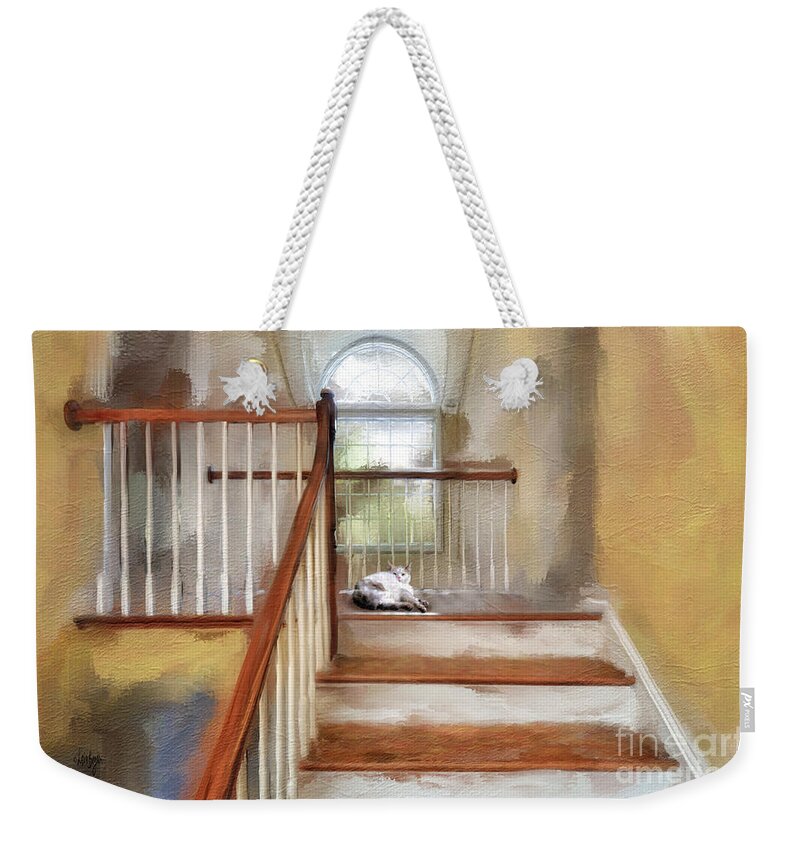 Step Weekender Tote Bag featuring the digital art Where's Kitty by Lois Bryan
