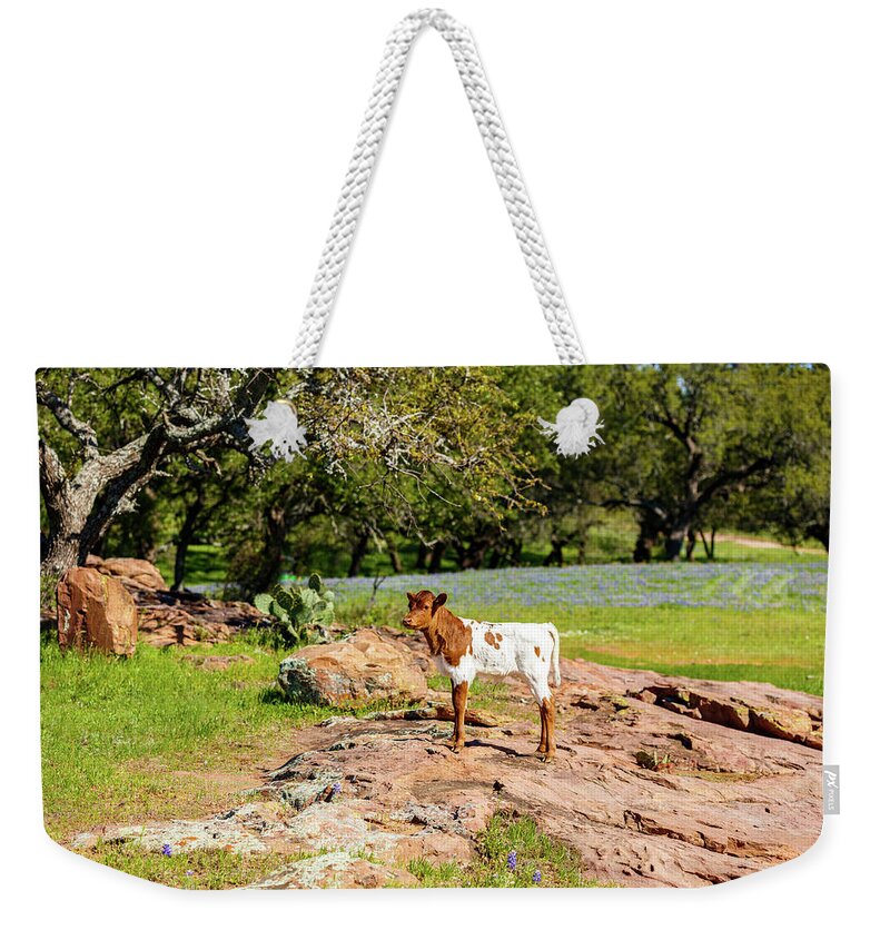 African Breed Weekender Tote Bag featuring the photograph Where's My Mother? by Raul Rodriguez