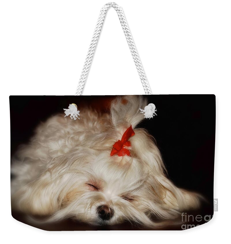 Maltese Weekender Tote Bag featuring the photograph While Sugarplums Danced by Lois Bryan