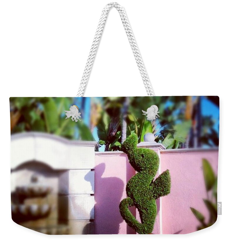 Seahorse Weekender Tote Bag featuring the photograph Whimsy by Denise Railey