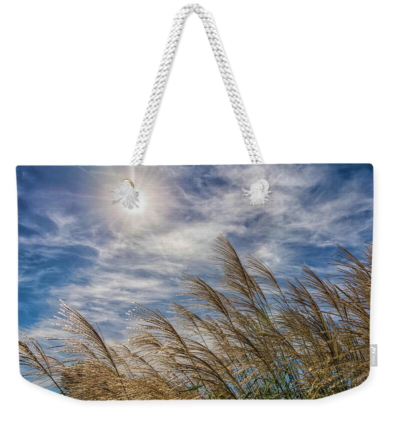 Sunlight Weekender Tote Bag featuring the photograph Whispering Grasses by Patti Raine