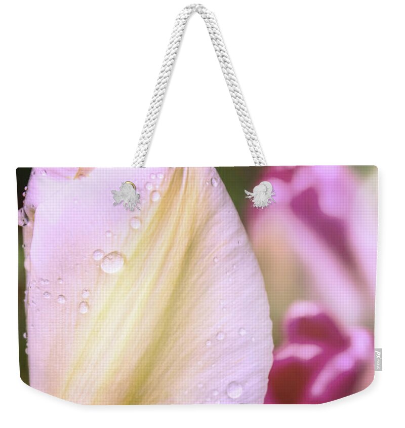 Blush Weekender Tote Bag featuring the digital art Whispering Tulips by Jean OKeeffe Macro Abundance Art