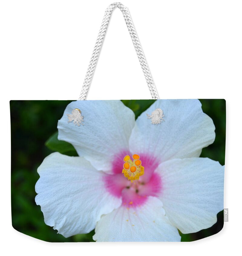 Flower Weekender Tote Bag featuring the photograph White and Pink Hibiscus by Amy Fose