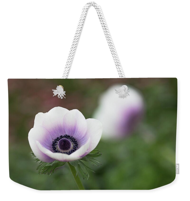 Purple Weekender Tote Bag featuring the photograph White and Purple by Rebecca Cozart
