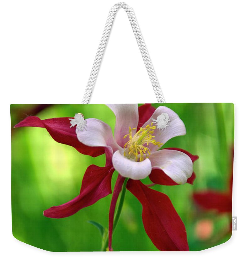 Mixed Media Columbine. Colorado Columbine. Columbine Greeting Cards. Flowers. Tulips. Sunflowers. Garden. Flower Beds. Rocky Mountain Park Colorado. Red. Blue. Water. Rain. Mountains. Digital Camera. Photography. Pictures. Bags. Spring. Summer. Mountain Flowers. Trails. Hiking. Camping. Fishing. Camp. Fires. Planting. Harvest. Weekender Tote Bag featuring the photograph White and Red Columbine by James Steele