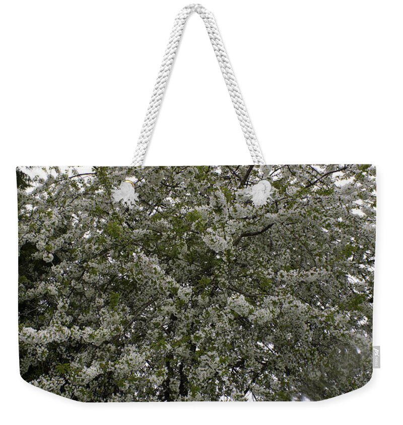 White Blossomed Three Weekender Tote Bag featuring the photograph White Blossomed Tree by Donna L Munro