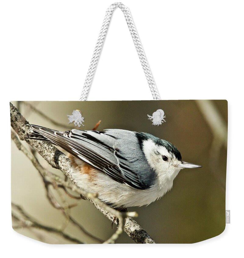 White-breasted Weekender Tote Bag featuring the photograph White-breasted Nuthatch 4377 by Michael Peychich