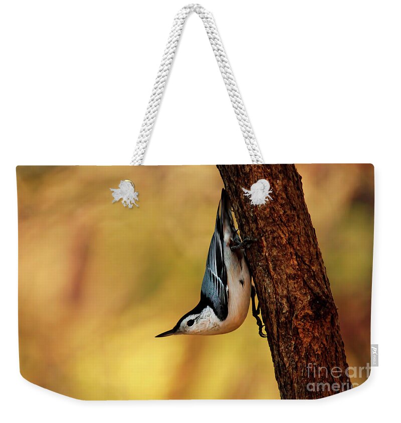 Head First Weekender Tote Bag featuring the photograph White-breasted nuthatch by Darren Fisher