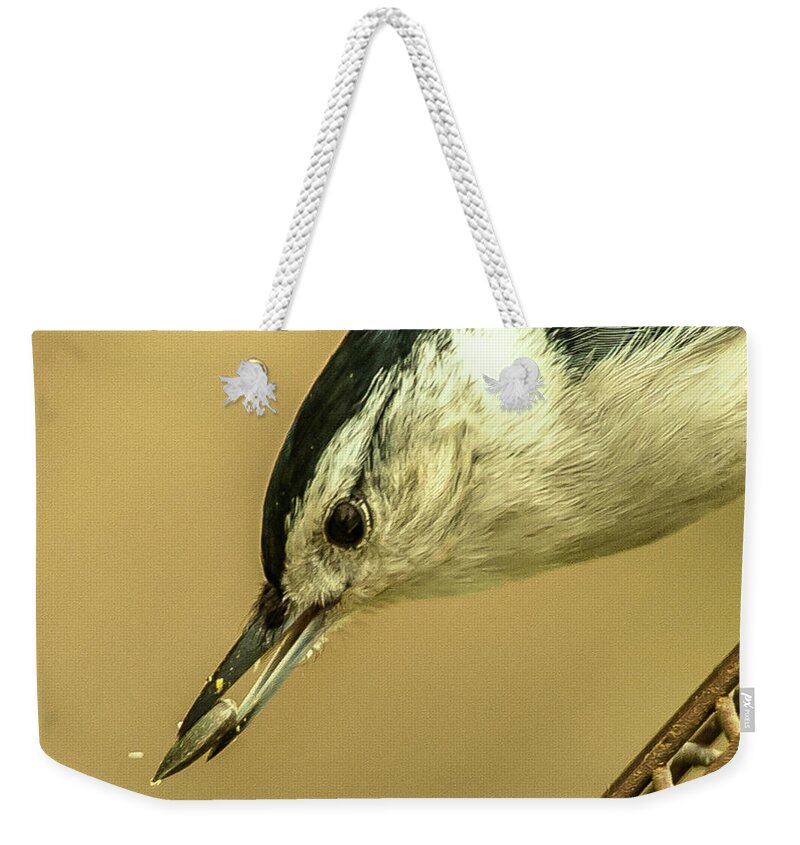 North Carolina Weekender Tote Bag featuring the photograph White-Breasted Nuthatch by Jim Moore