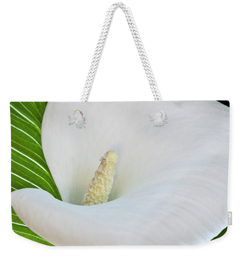 Calla Weekender Tote Bag featuring the photograph White Calla by Heiko Koehrer-Wagner