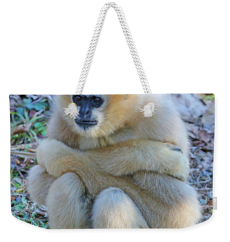 Mammal Weekender Tote Bag featuring the photograph Bummed by Gina Fitzhugh
