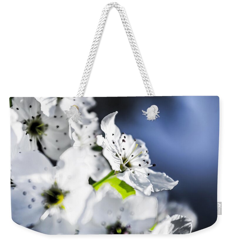 White Cherry Blossom Flowers Weekender Tote Bag featuring the photograph White Cherry Blossom Against Blue by Tracy Winter