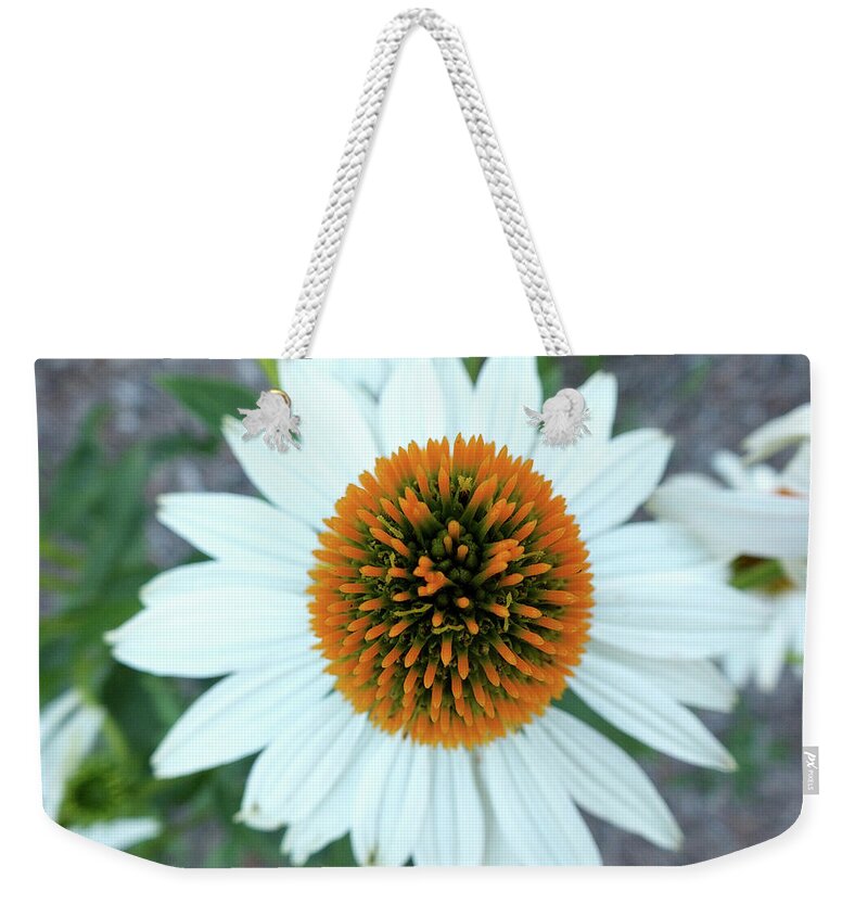 Cone Weekender Tote Bag featuring the photograph White Cone Flower by Kimmary MacLean