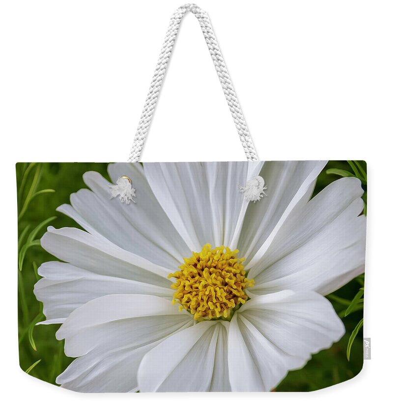 Flowers Weekender Tote Bag featuring the photograph White Cosmos by Catherine Avilez
