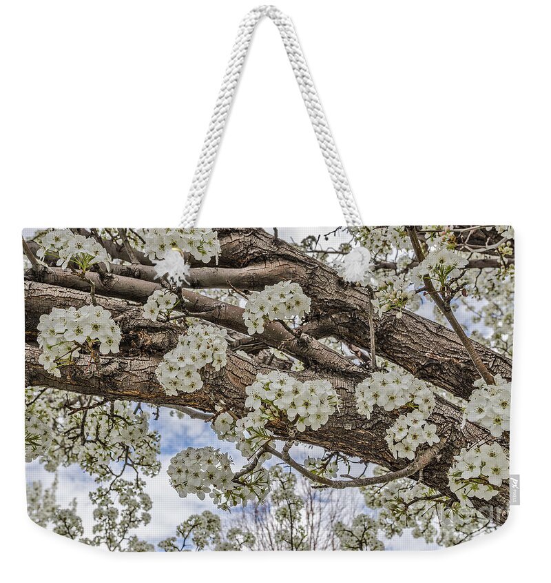 Malus Species Weekender Tote Bag featuring the photograph White Crabapple Blossoms by Sue Smith