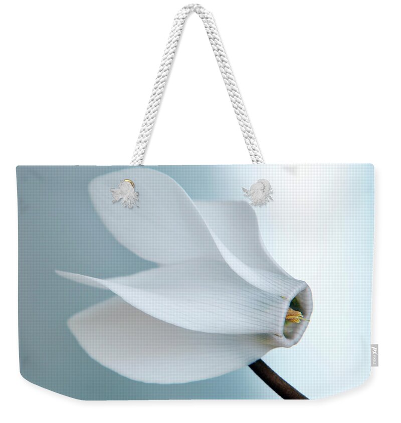 Cyclamen Weekender Tote Bag featuring the photograph White Cyclamen. by Terence Davis