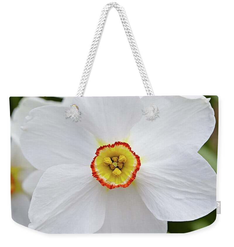 Garden Weekender Tote Bag featuring the photograph White daffodil by Garden Gate magazine