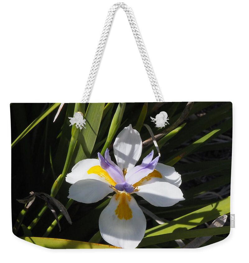 Botanical Weekender Tote Bag featuring the photograph White Daylily 3 by Richard Thomas