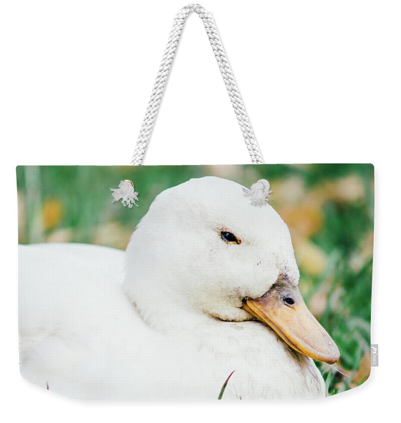 Grass Weekender Tote Bag featuring the photograph White Duck In Grass by Pati Photography