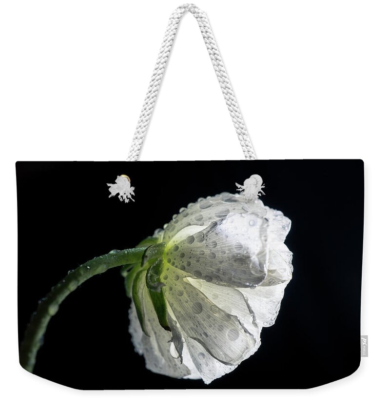 White Flower Weekender Tote Bag featuring the photograph White flower 5 by Lilia S