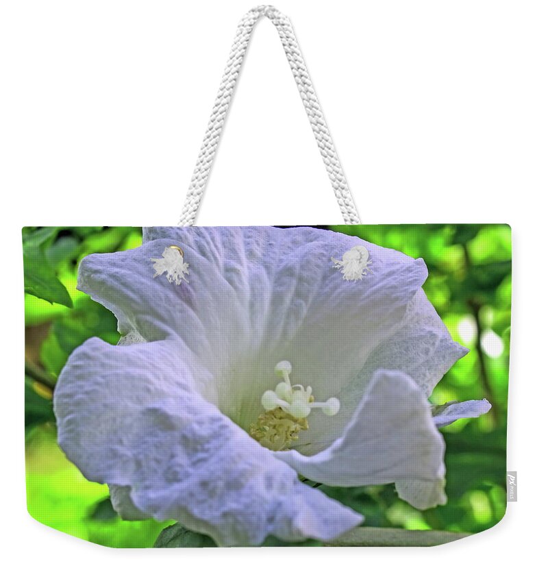 Hibiscus Weekender Tote Bag featuring the photograph White Hibiscus Flower by Jeff Townsend