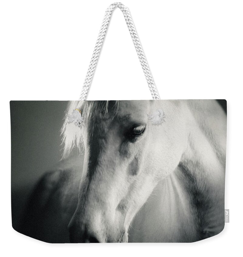 Horse Weekender Tote Bag featuring the photograph White Horse Head Art Portrait by Dimitar Hristov