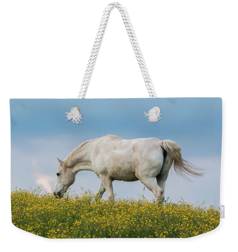 Horse Weekender Tote Bag featuring the photograph White Horse of Cataloochee Ranch 2 - May 30 2017 by D K Wall