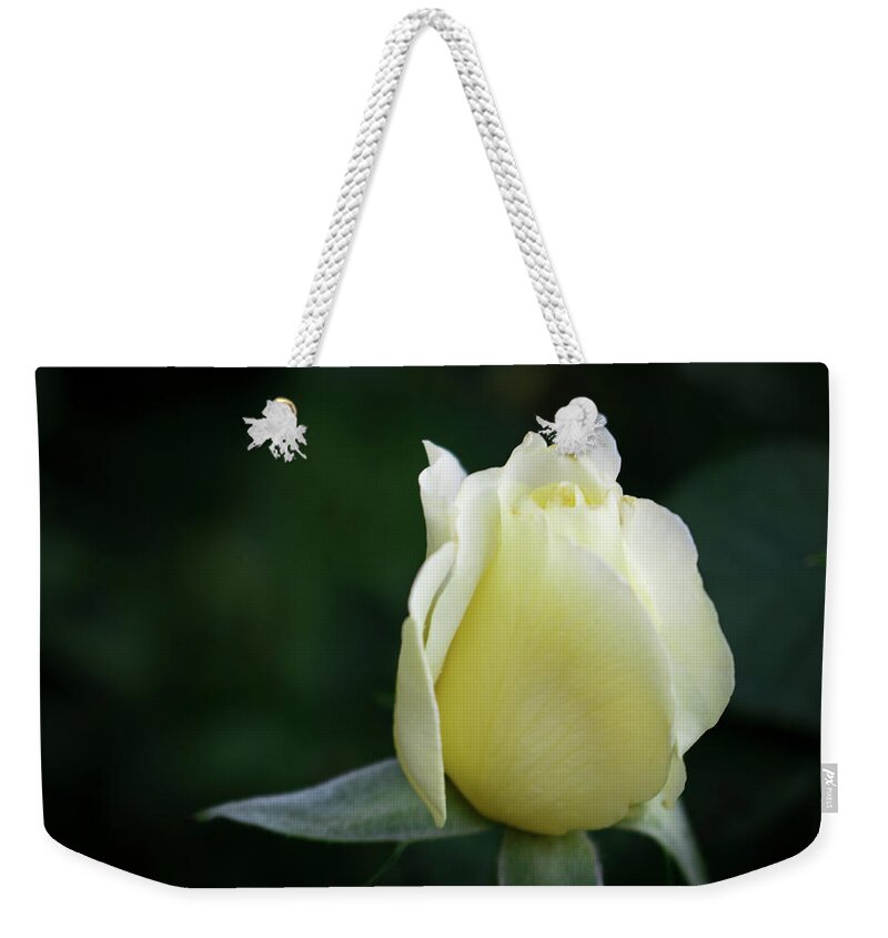 Close-up Weekender Tote Bag featuring the photograph White Licorice Rose by K Bradley Washburn
