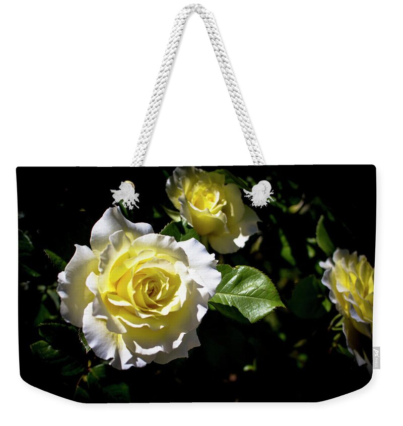 Close-up Weekender Tote Bag featuring the photograph White Licorice Roses by K Bradley Washburn