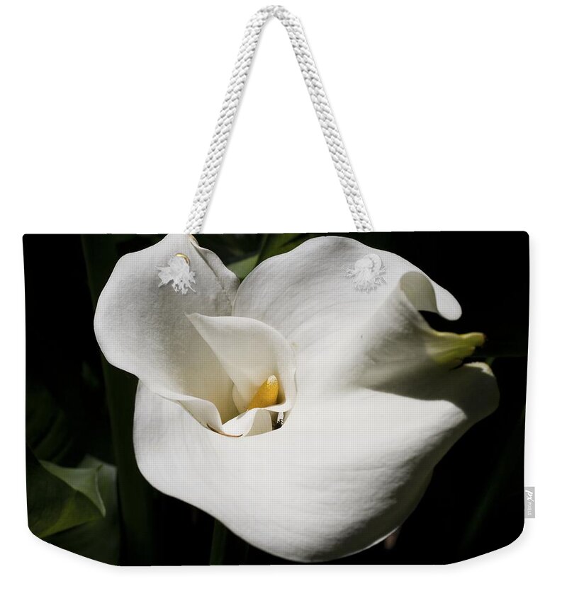 Granger Photography Weekender Tote Bag featuring the photograph White Lily by Brad Granger