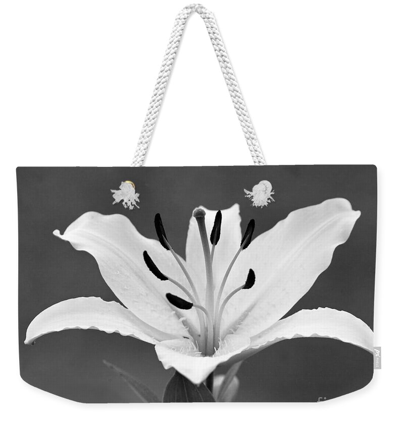 Lily Weekender Tote Bag featuring the photograph White Lily by Kimberly Blom-Roemer