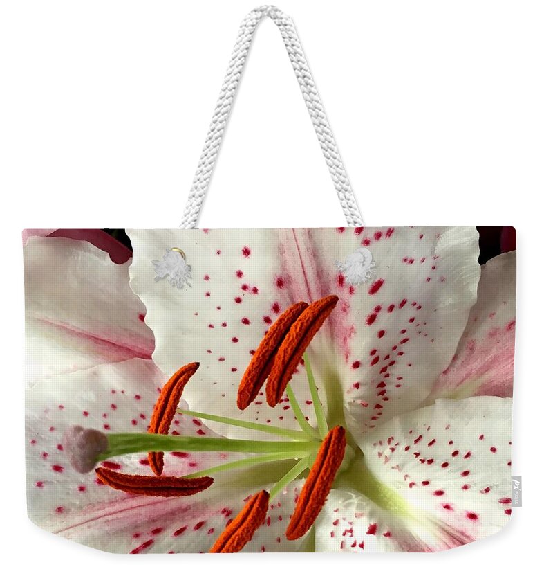 White Weekender Tote Bag featuring the photograph White Lily by Steph Gabler
