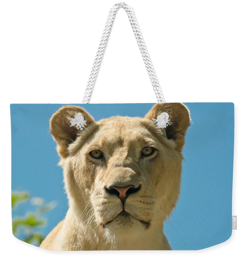 White Lion Weekender Tote Bag featuring the photograph White Lion by Scott Carruthers