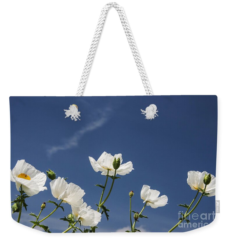 Fredericksburg Weekender Tote Bag featuring the photograph White on Blue by Bob Phillips