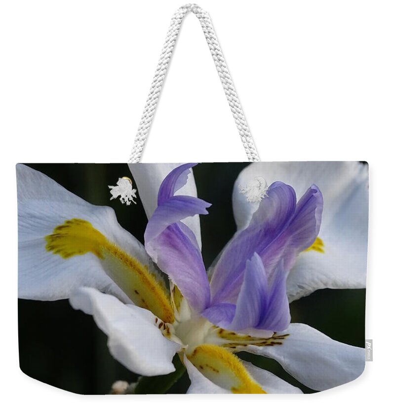 Yellow Weekender Tote Bag featuring the photograph White Orchid with Yellow and Purple by Heather Jane