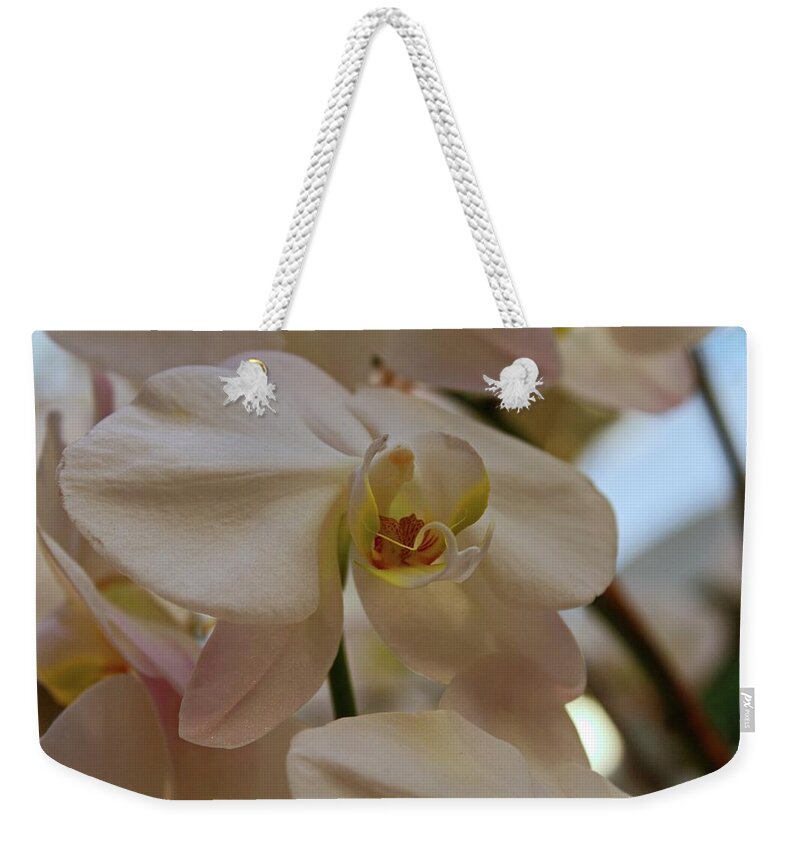 Orchid Weekender Tote Bag featuring the photograph White Peabody Orchid II by Michiale Schneider