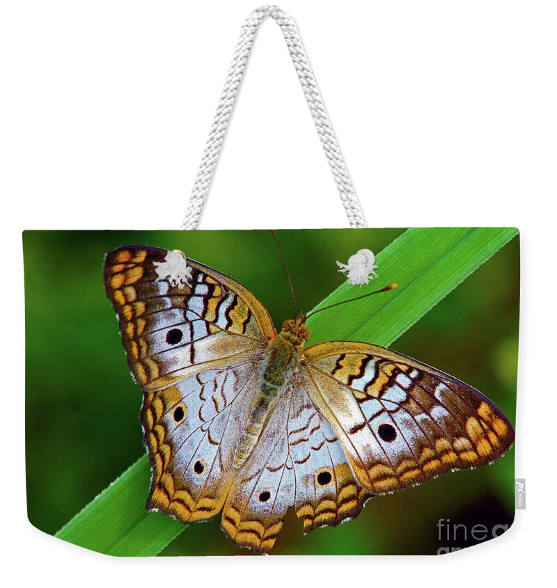 Butterfly Weekender Tote Bag featuring the photograph White Peacock Butterfly by Larry Nieland