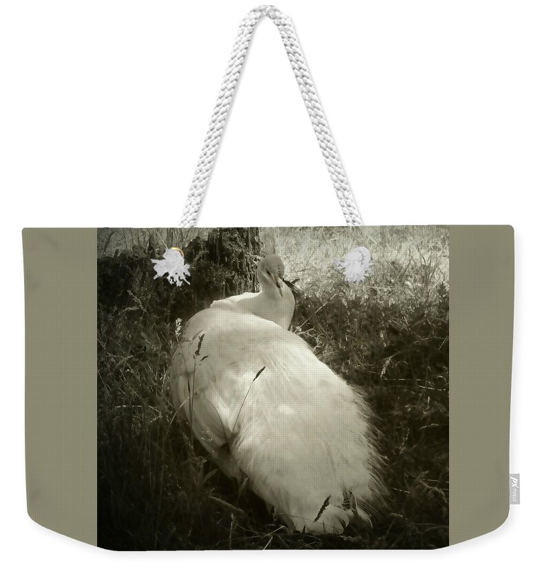 Garden Weekender Tote Bag featuring the photograph White Peacock Lounging in the Shade by KATIE Vigil