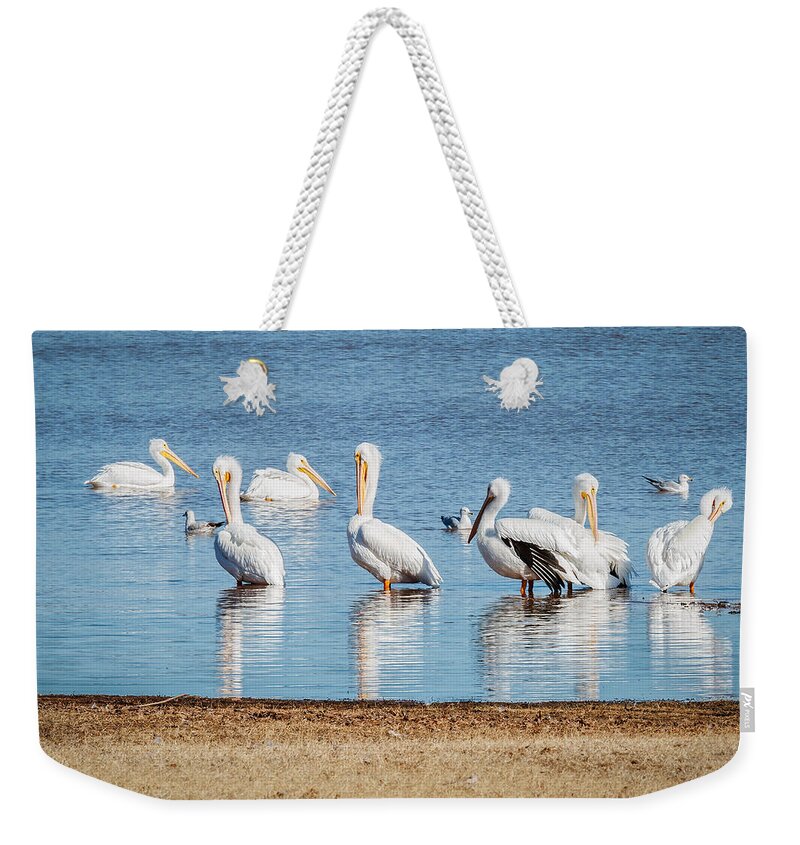 Animal Weekender Tote Bag featuring the photograph White Pelicans by Doug Long