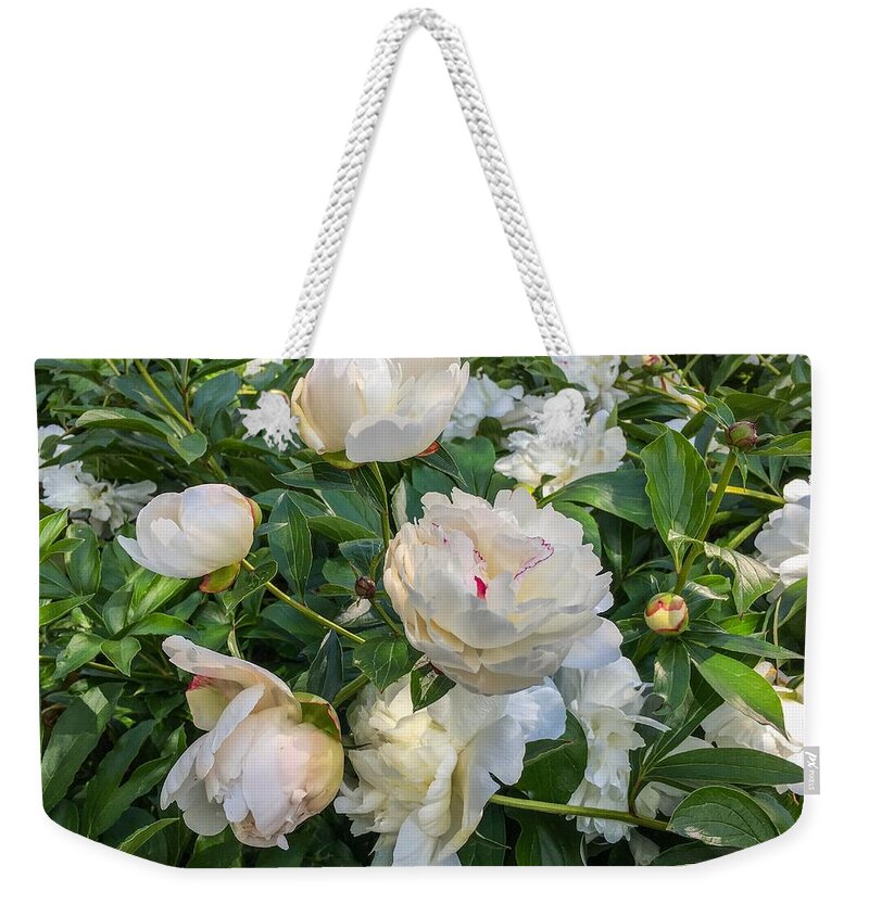 White Peonies Weekender Tote Bag featuring the photograph White Peonies in North Carolina by Chris Berrier