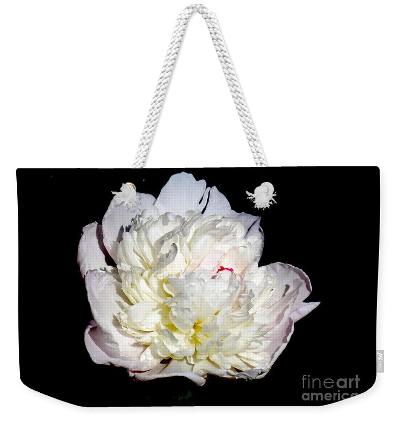 Photograph Weekender Tote Bag featuring the photograph White Peony II by Delynn Addams