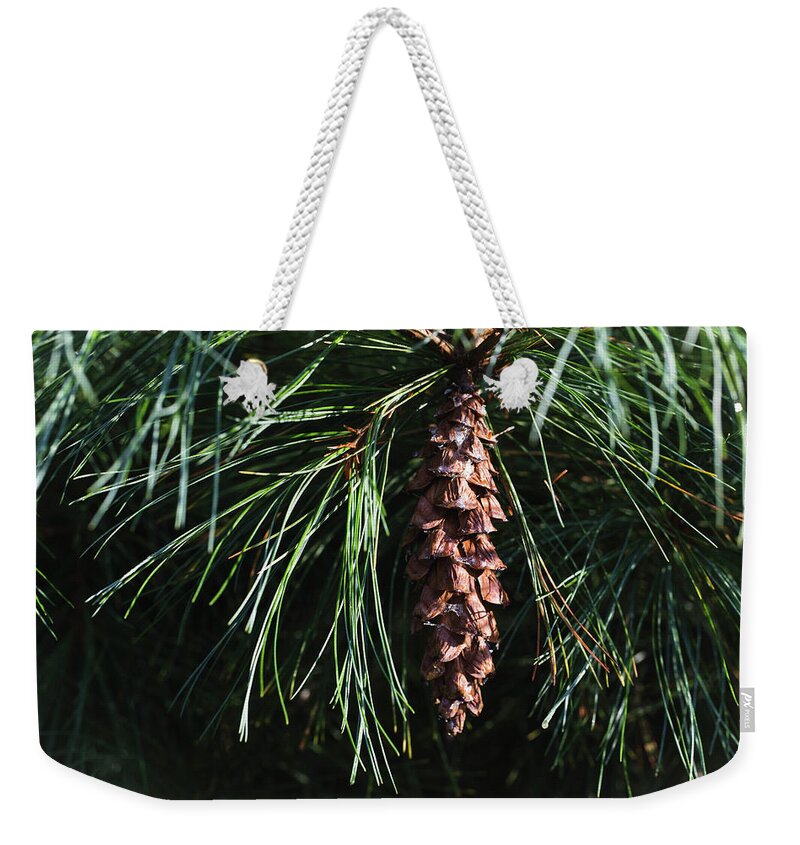 Andrew Pacheco Weekender Tote Bag featuring the photograph White Pine Cone by Andrew Pacheco