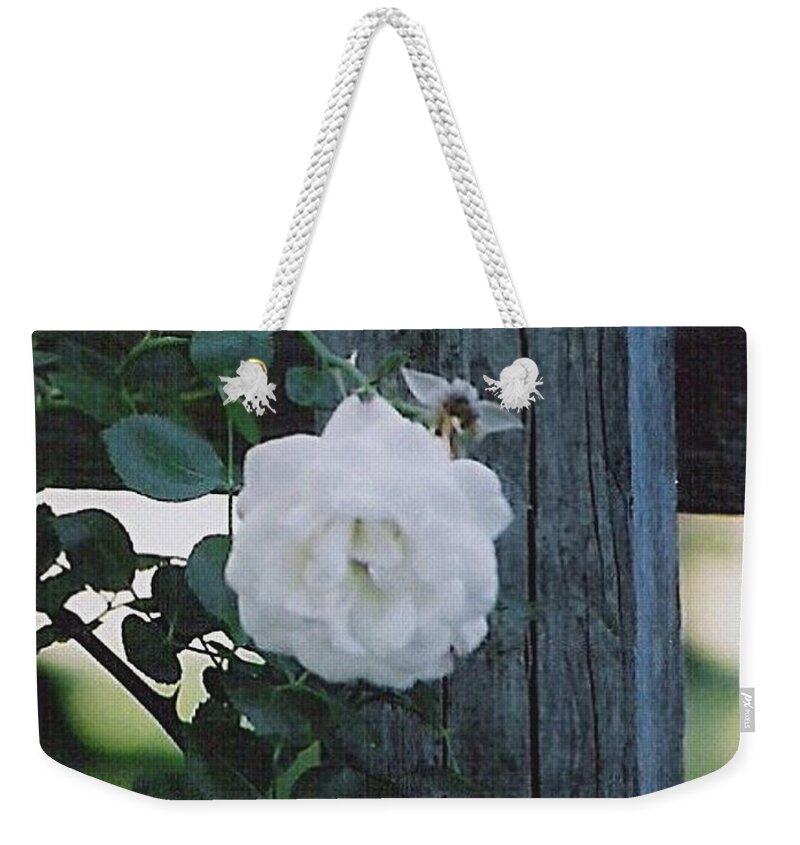 Roses Weekender Tote Bag featuring the photograph White Rose by Charles Robinson
